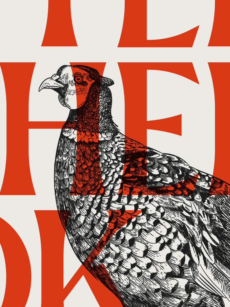 Close in crop of the logo, with Dave the pheasant illustration in black over the top