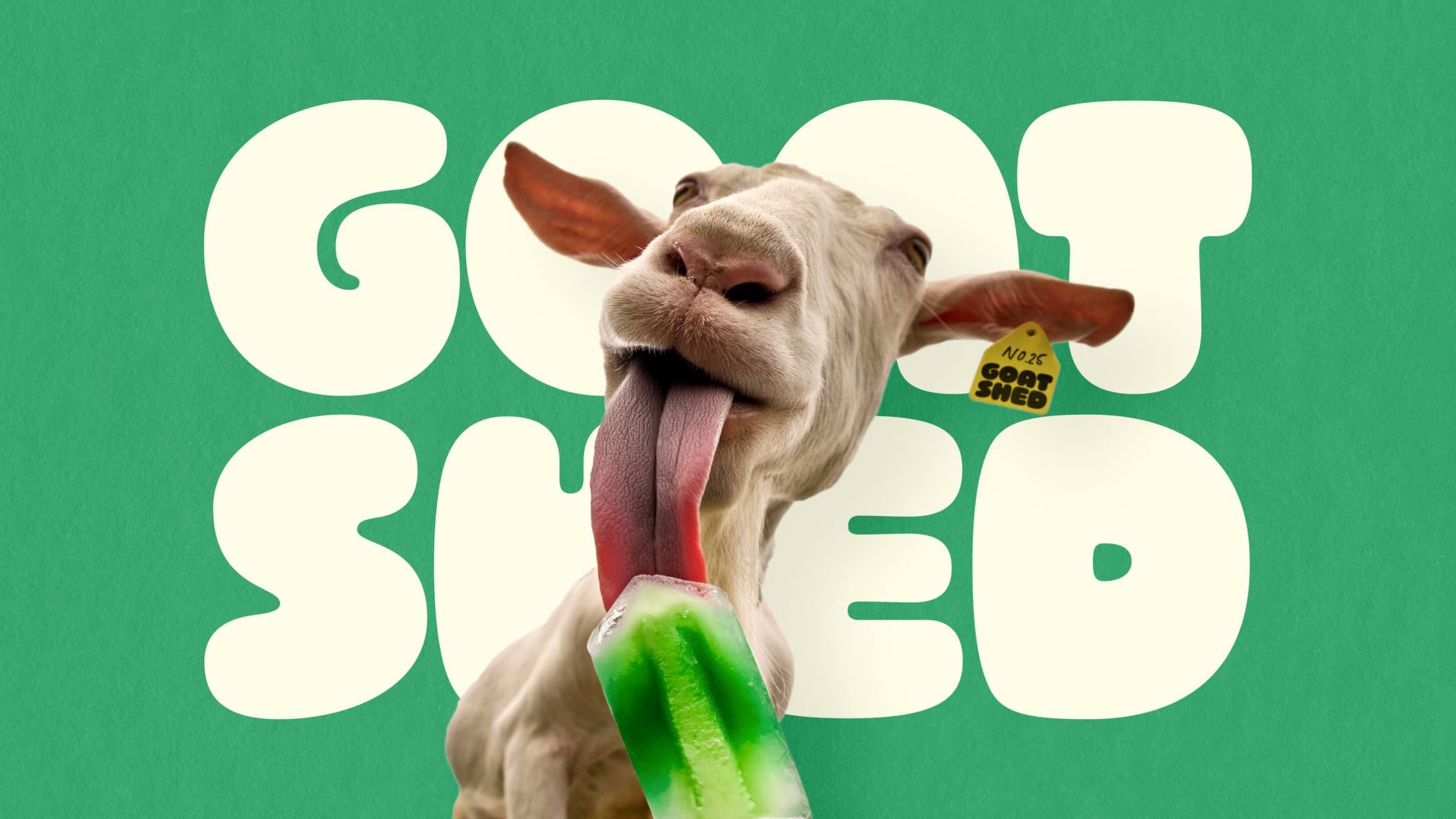 Goat licking and Ice lolly