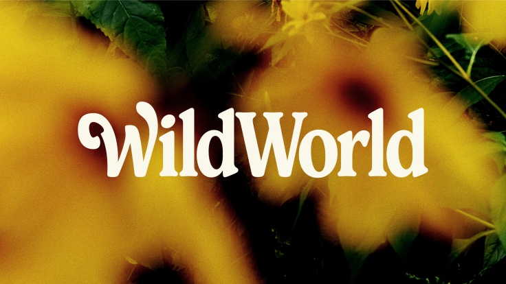UnitedUs - Brand agency and business consultancy delivering catalytic creativity and confidence that works in the wild.