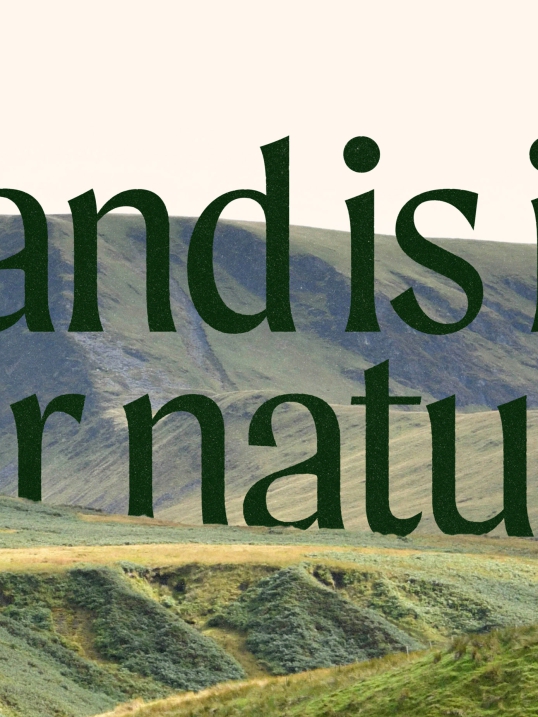 UnitedUs - Brand agency and business consultancy delivering catalytic creativity and confidence that works in the wild.