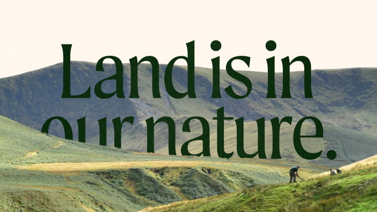 UnitedUs - Brand agency and business consultancy delivering catalytic creativity and confidence that works in the wild.